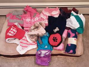 lot 37 image: Pet Related Dog Bed, Dog Diapers, Sweaters, Vest, Hats
