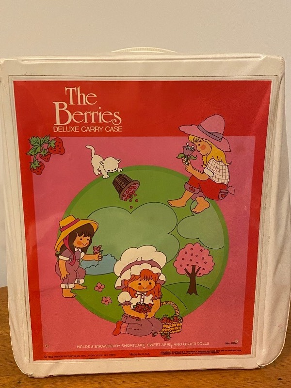 1980 S Strawberry Shortcake Collectibles Happy Household Estate Auction In Hopkins K Bid
