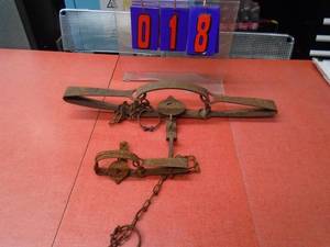 lot 18 image: Qty of 2 Victor traps. As shown.