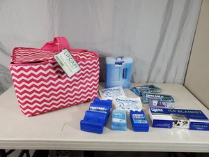 New Picnic Bag Cooler and Assorted New Ice Packs