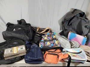 Purses, Bags, and More