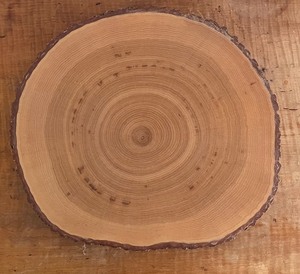 lot 74 image: Hickory Boards by Joel