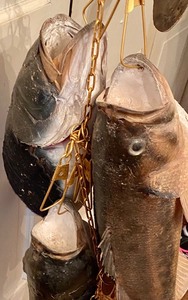lot 100 image: String of Five Taxidermy Large Mouth Bass Fish
