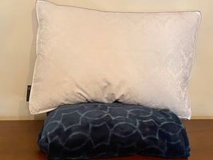 lot 99 image: Comfy Soft Throw Blanket and New Wamsutta Collection Bed Pillow