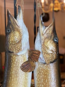 lot 133 image: Pair of Mounted Ten Pound Northern Pike Fish