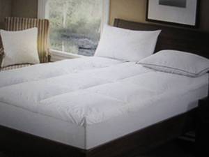 St. James Home 233 Thread Count Cot...