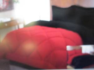 ultra-plush reversible comforter se...