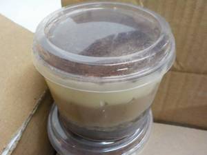 lot 262 image: 12 Pack Bindi Frozen Coppa Tiramisu...