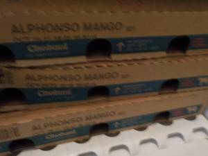 lot 346 image: 3 - 12 packs Chobani Yogurt...