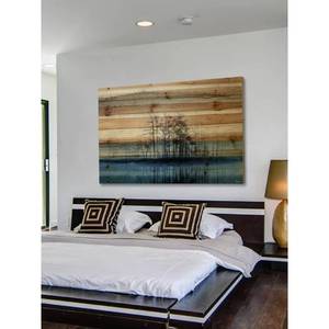 lot 348 image: 40 in. H x 60 in. W Tree Isle Reflects by Parvez Taj Printed Natural Pine Wood Wall Art.