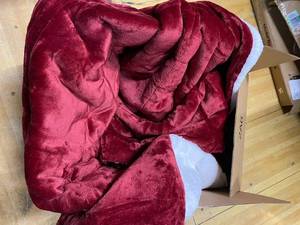 lot 91 image: Amazon Basics Queen Plush Comforter & Shams