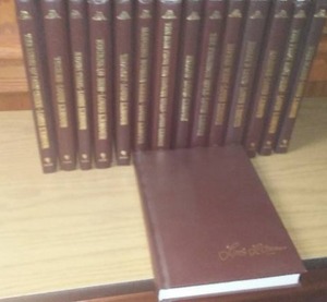 lot 319 image: Louis Lamour collection- 15 books