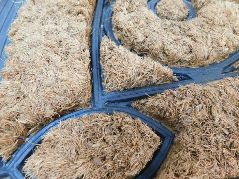 Entry Door mat