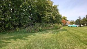 The Perfect 14 Acres Lot in Emmons Minnesota No Reserve