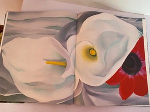 lot 97 image: Book Georgia OKeefe 100 Flowers