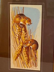 lot 49 image: Pair of Woven Pictures by J.J. Cash