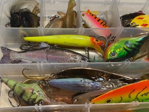 lot 216 image: Variety of Fishing Tackle in Plano Storage Case