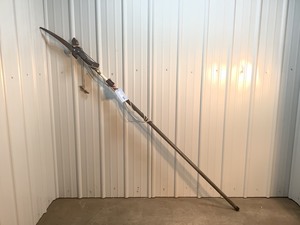 lot 157 image: Extendable Pole Saw
