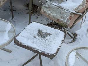 lot 51 image: Glass top patio table with 6 chairs...