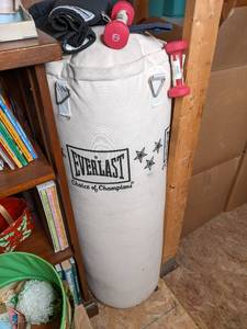 lot 241 image: Everlast Punching Bag, Gloves, and ...