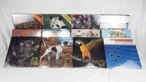 lot 17 image: Case of 12 Assorted Vintage Hoyle 550 Piece Puzzles