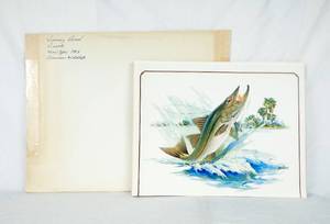 lot 43 image: Lot of 40 Vintage Fred Sweney Snook Fish Prints