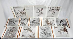 lot 46 image: Lot of 36 Vintage Churchill Ettinger Wildlife and Animal Prints