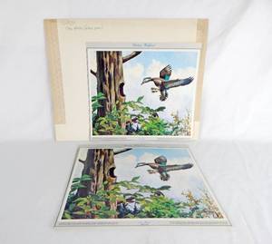 lot 50 image: Lot of 40 Vintage Richard Bishop Tree House - Wood Duck Prints
