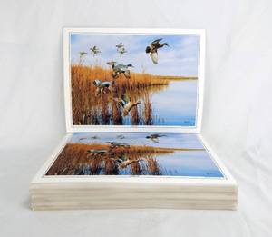 lot 116 image: Lot of 85 Vintage David Maass Coming In Laminated Placemats