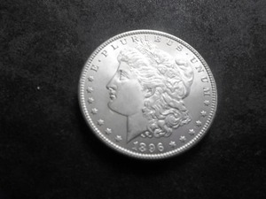 1896 Morgan Silver Dollar