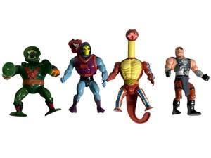 Masters of the Universe Action Figures