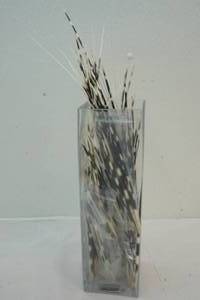 lot 70 image: porcupine quills