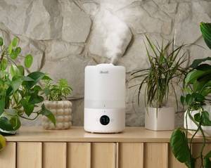 lot 29 image: Levoit Smart Top-Fill Humidifier