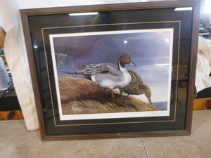 November Nomads Framed Print by Dave Constantine
