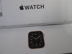 Apple Watch SE with 40mm Goldtone A...