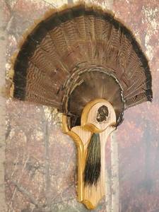lot 22 image: Mounted Turkey Feather Fan on Wood