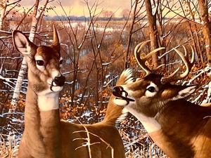 lot 180 image: Framed Michael Sieve Oak Ridge Series Print - Oak Ridge Monarch - Whitetail Deer