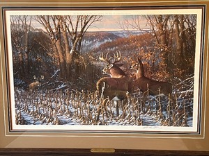 lot 177 image: Michael Sieve Framed Print - Adrenaline Surge-Whitetail Deer