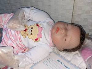 Reborn Baby Doll 22 Brunette