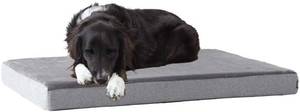 Barkbox 35 X 22 Memory Foam Dog Bed