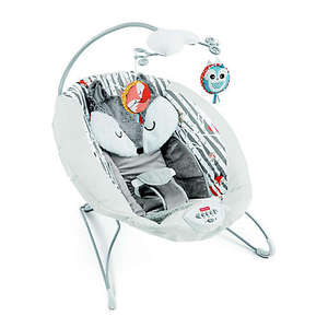Fisher Price Baby Bouncer