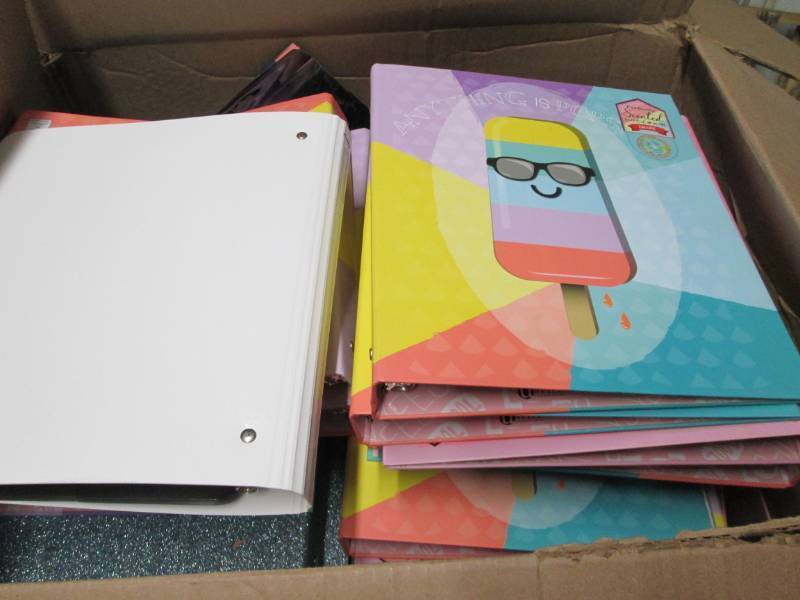 Box of 3 ring binders...
