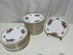 Garden Royale - Daisy Design - 43 Plates