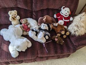 Stuffed Buffalo, Bears, and Shih Tz...