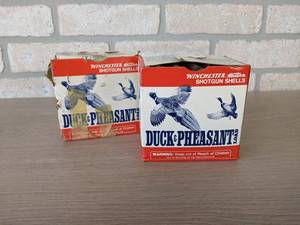 lot 207 image: 49 Rounds 12 Ga. Winchester and Federal Duck & Pheasant Shotgun Shells
