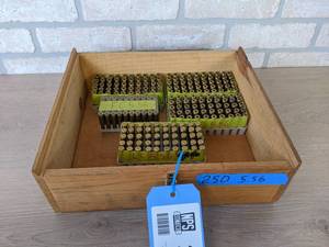 lot 285 image: 250 Rounds of 5.56 Brass Shell Casings from St. James Gun Club Firing Range