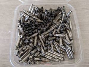 lot 279 image: 200 Rounds of 223 Shell Casings from St. James Gun Club Firing Range