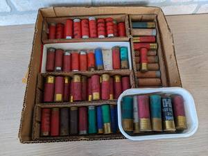 lot 258 image: Misc. Shotgun Shells - Some Usable, Some Display Pieces