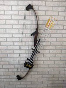 lot 151 image: 39 Whitetail Hunter Compound Bow By Bear Archery