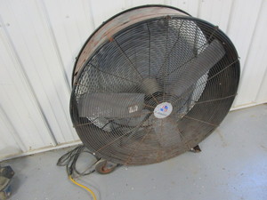 lot 215 image: Pro Std Fan